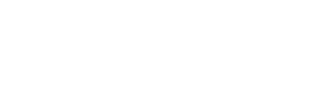 Air Force Academy Foundation logo
